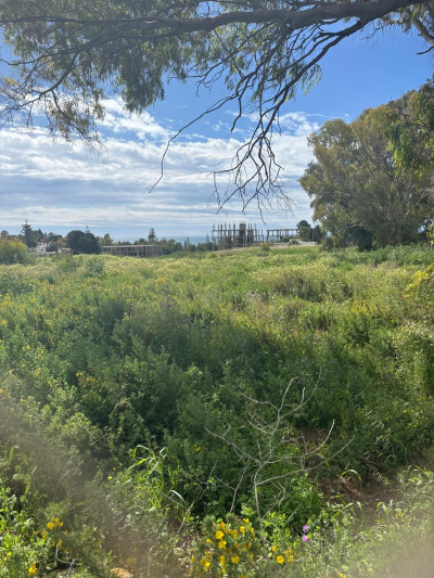 Residential Plot in Cancelada - Image 1