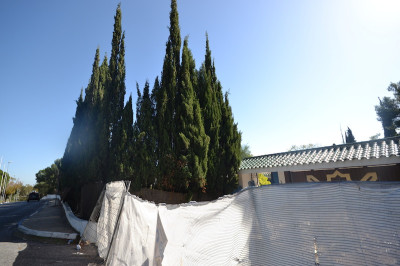 Land with Ruin in Sierra Blanca