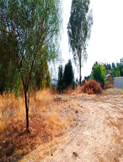 Residential Plot in La Quinta - Image 3