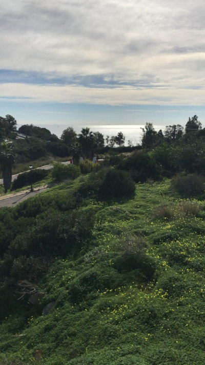 Residential Plot in Torreguadiaro - Image 1