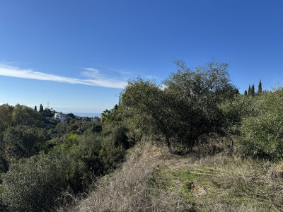 Residential Plot in Elviria - Image 5