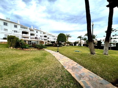 3 Bedroom Ground Floor Apartment in Nueva Andalucía - Image 5