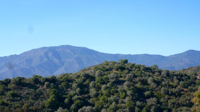 Residential Plot in New Golden Mile - Image 5