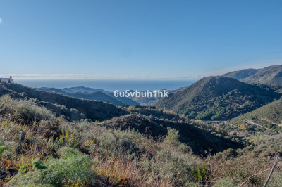 Land in Ojén - Image 3