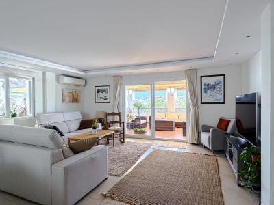 3 Bedroom Penthouse in La Campana - Image 3