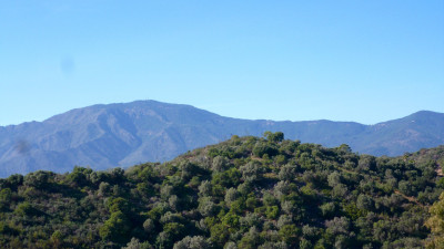 Residential Plot in Estepona - Image 5
