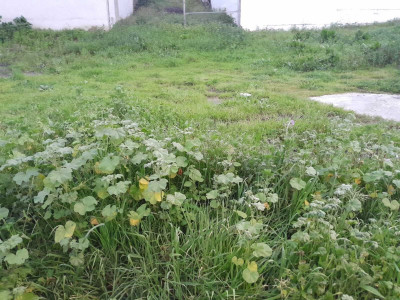 Residential Plot in Casares - Image 1