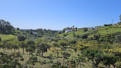 Land in Mijas - Image 2