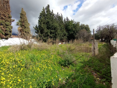 Residential Plot in Marbella