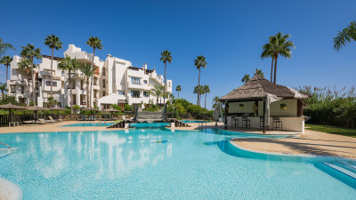 3 Bedroom Ground Floor Apartment in Estepona - Image 4