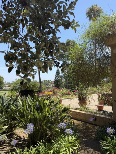 5 Bedroom Detached Villa in Sotogrande Costa - Image 4