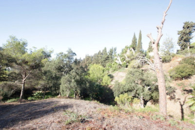 Residential Plot in Hacienda Las Chapas - Image 5