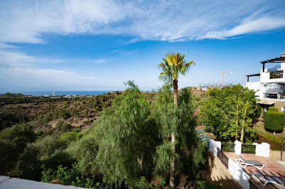 2 Bedroom Penthouse Duplex in Altos de los Monteros - Image 3