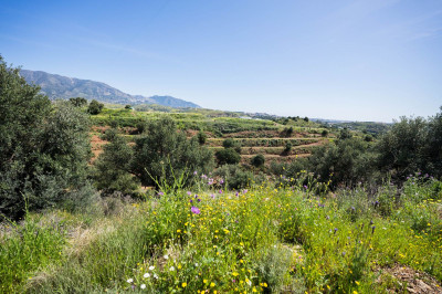 Land in Mijas - Image 4