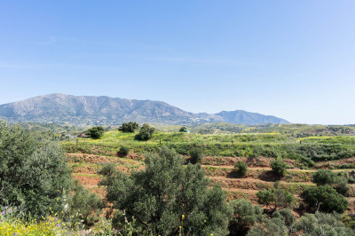 Land in Mijas - Image 5