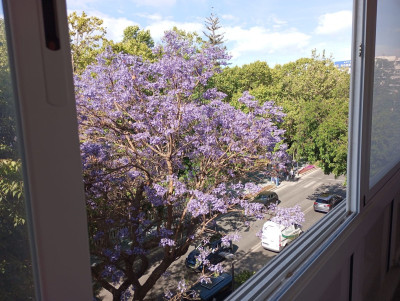 3 Bedroom Middle Floor Apartment in Marbella