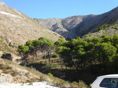 Residential Plot in Valtocado - Image 3
