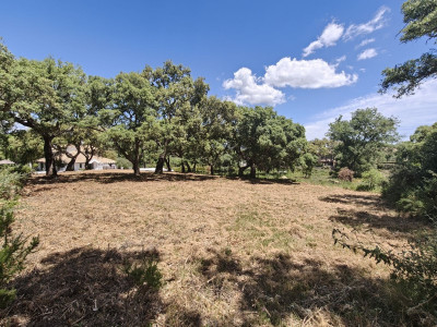 Residential Plot in San Roque Club - Image 5