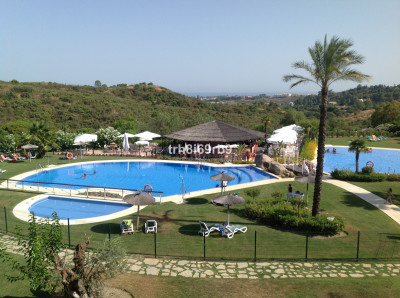 estepona marbella