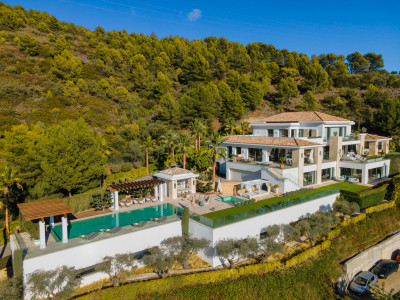 Stunning Luxury Villa - Image 1