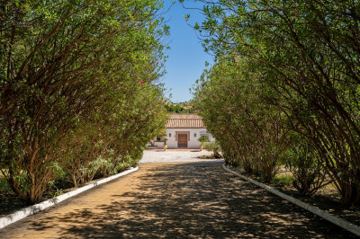 8 Bedroom Finca - Cortijo in Cancelada - Image 3