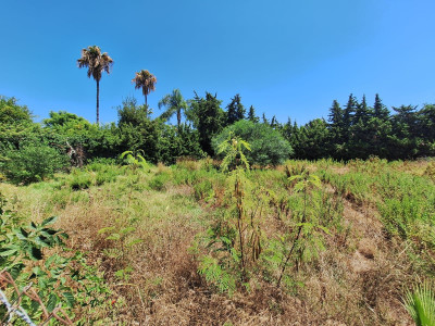 Residential Plot in Atalaya - Image 4