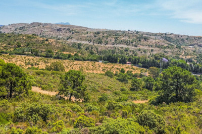 Land in Benahavís - Image 2