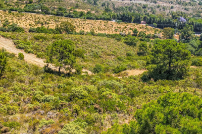 Land in Benahavís - Image 3