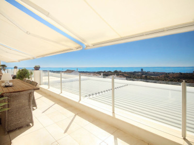 2 Bedroom Penthouse Duplex in Altos de los Monteros - Image 2