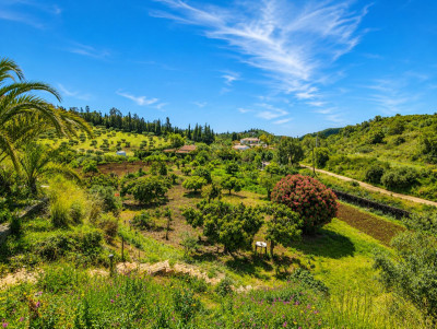 6 Bedroom Finca - Cortijo in Estepona - Image 3