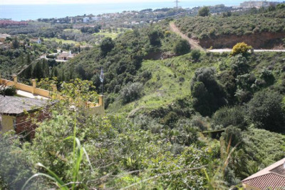 Residential Plot in El Rosario