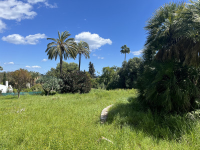 Land in Sotogrande Costa - Image 4