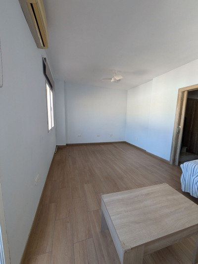 3 Bedroom Duplex in San Pedro de Alcántara - Image 4