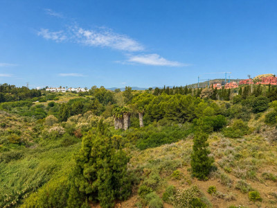 3 Bedroom Penthouse in El Chaparral - Image 2