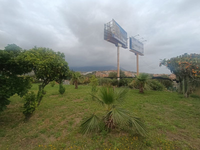 Land with Ruin in Mijas - Image 4