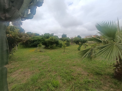 Land with Ruin in Mijas - Image 5