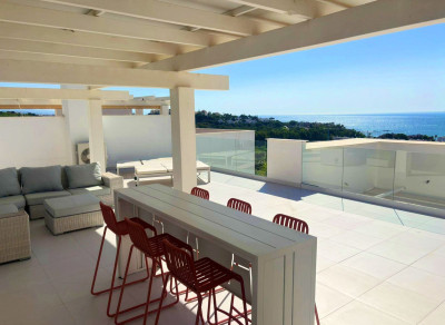 2 Bedroom Penthouse in Casares Playa - Image 1