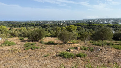 Land in Sotogrande - Image 4