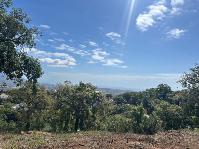 Residential Plot in La Mairena - Image 2