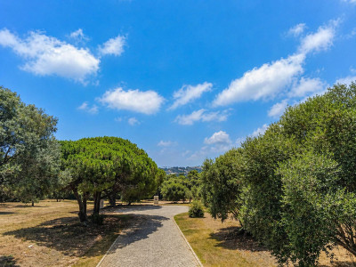 Residential Plot in Sotogrande Alto - Image 2