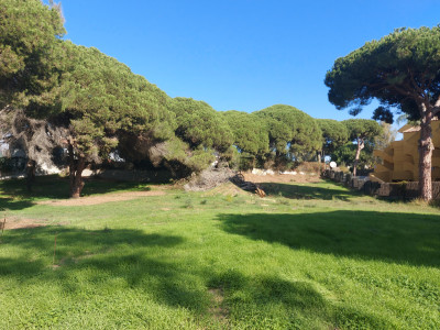 Residential Plot in Elviria