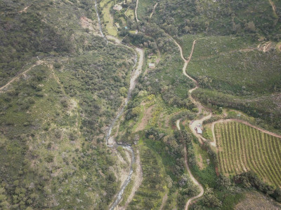 Land in Estepona - Image 3