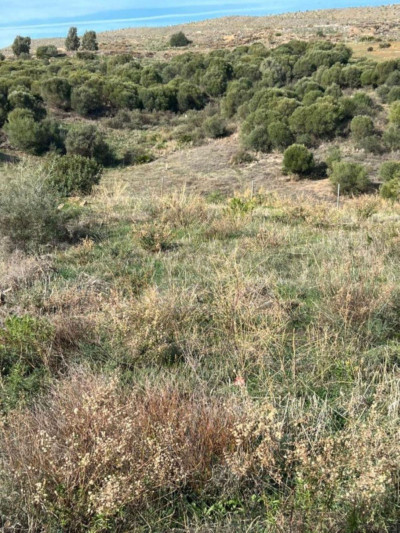 Residential Plot in Casares Playa