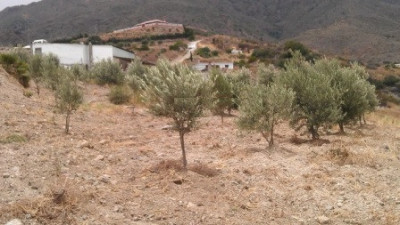 Land in Estepona
