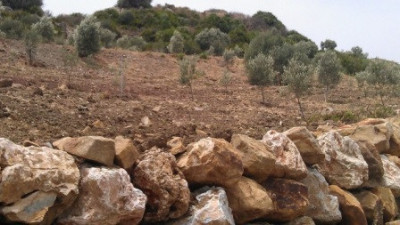 Land in Estepona - Image 2