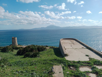 Land with Ruin in Manilva - Image 3