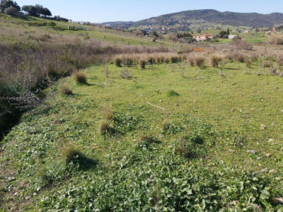 Land in Estepona - Image 1