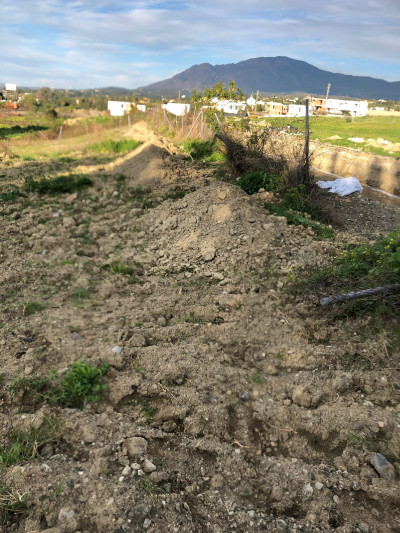 Residential Plot in Selwo - Image 2