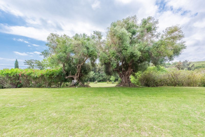 7 Bedroom Detached Villa in Sotogrande Alto - Image 2