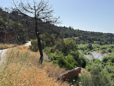 Land in El Padron